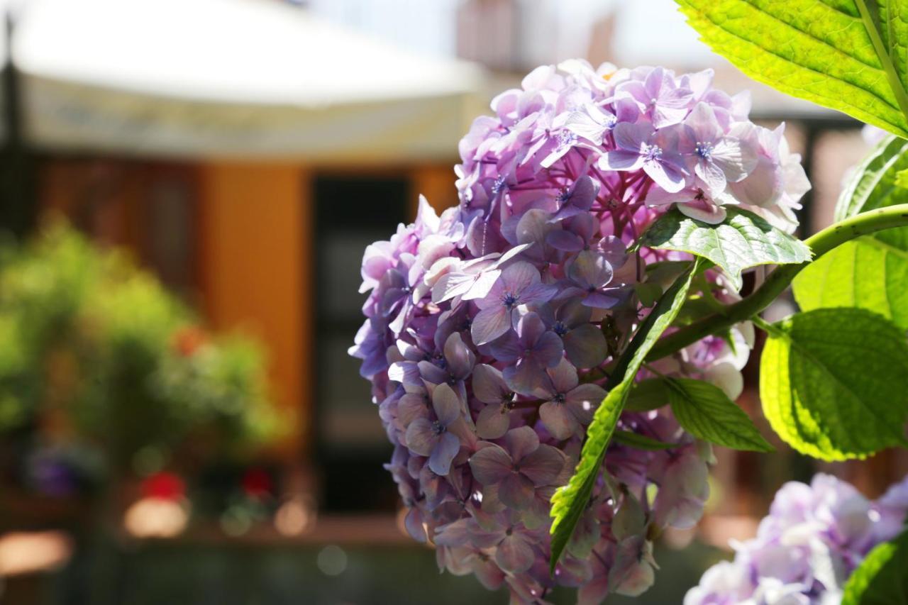 Casa Rosaria Amalfi Coast Bed & Breakfast Vietri Ngoại thất bức ảnh